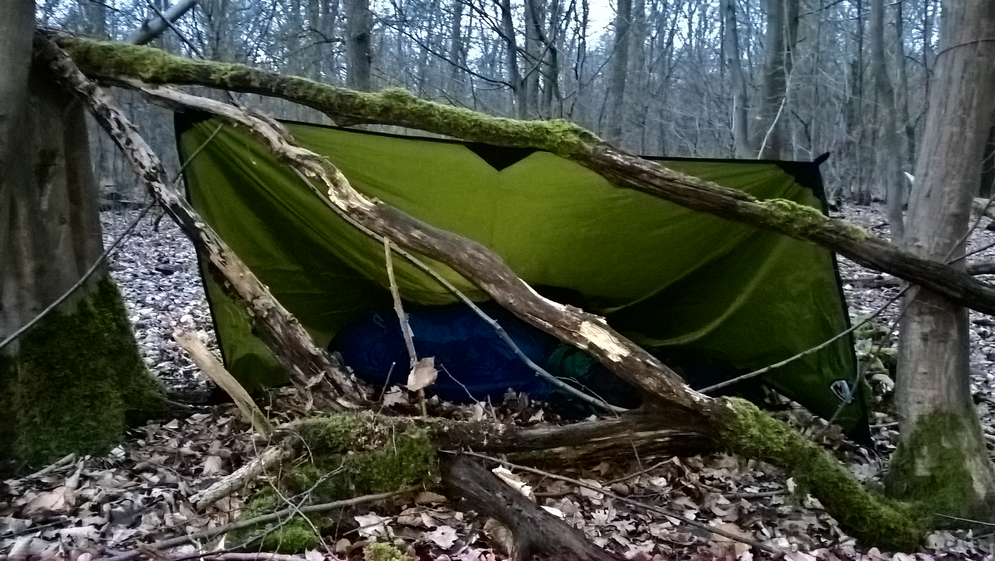 Tarp im Wald