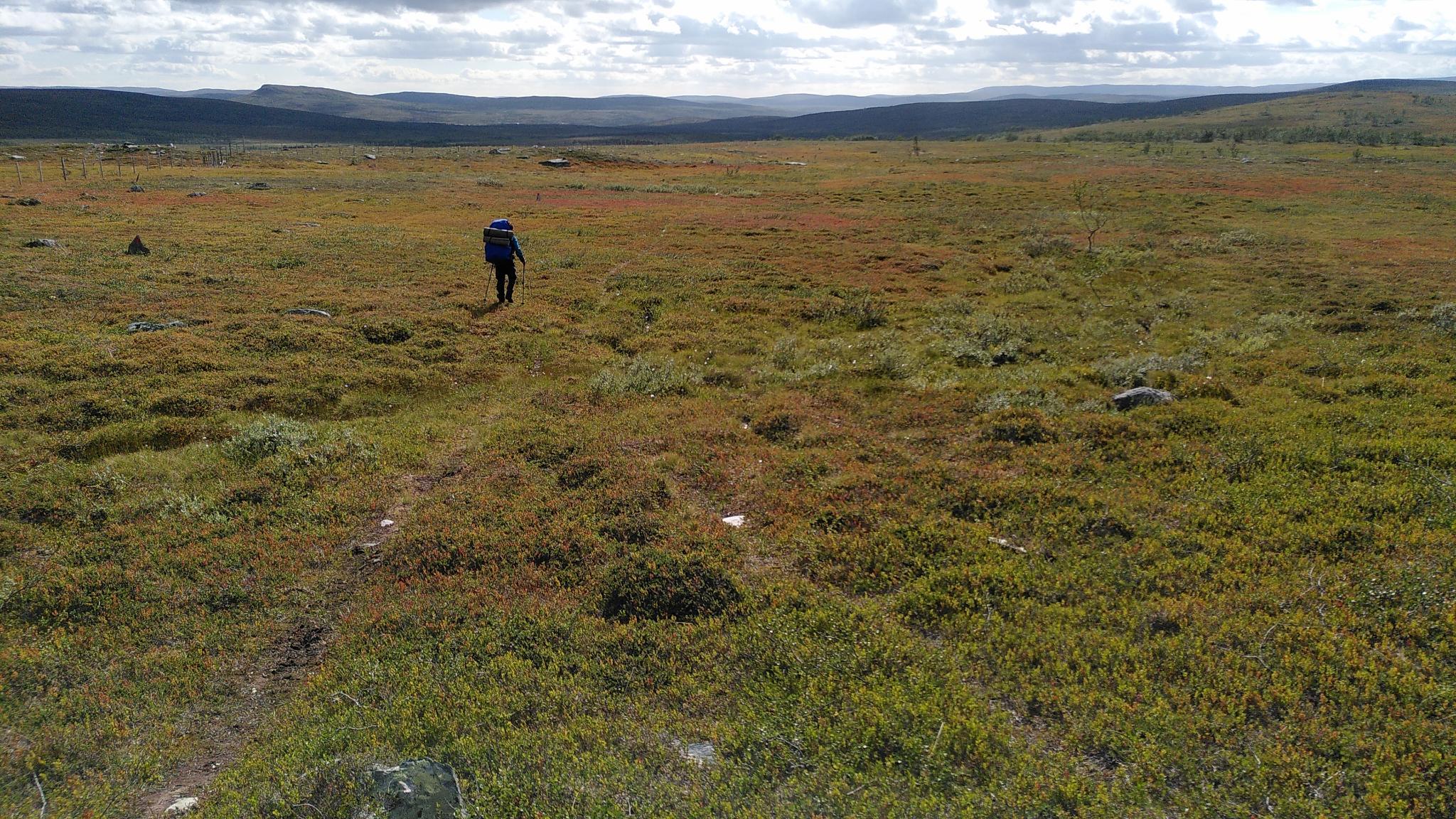 GElände in Norwegen